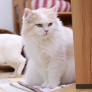 2/1は14時オープンです。