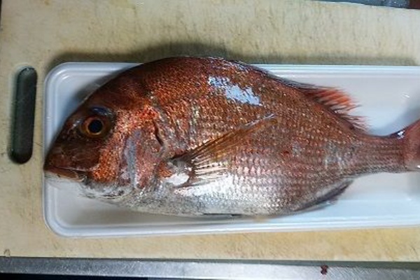 八十路への凸凹日記