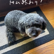 子供の心配