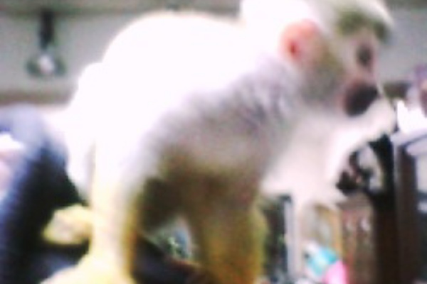 本城さゆりのblogだよ 05年03月