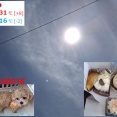 モコ、我が家に来てくれてありがとう！！