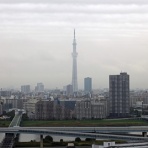 東京スカイツリー定点観測所