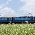 7月5日撮影　EH200-901号機　クマイチが牽く西線貨物8084ﾚより