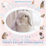 SNOWDROP.n&kのサクサク日記