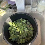 愛は最高な一人部屋