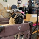 木曜日の、さんちゃん。