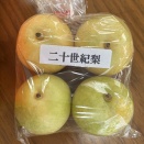 【体験談】鳥取で梨の安い直売所はどこ？鳥取旅行2026年9月