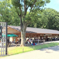 よく晴れた休日の朝に