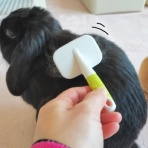 ぶ〜に〜の暮らし