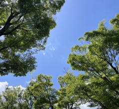 すんなりと落とせそう ／ 夏掃除