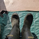 バイオネストを作ってみた