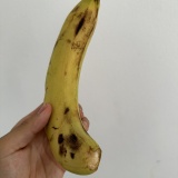 海外バナナの賭けめし。