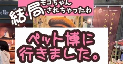 毎度文句たらたら言うくせにペット博。