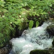 東北旅行Part2