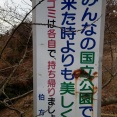 写真供養