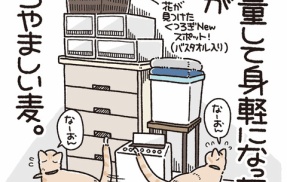 あこがれの高所スポット
