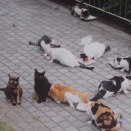 長～～～いお付き合い