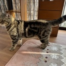 つしまちゃん、ひさしぶり