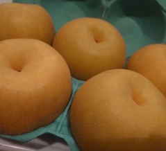 おぱょ☆&お月様の時間