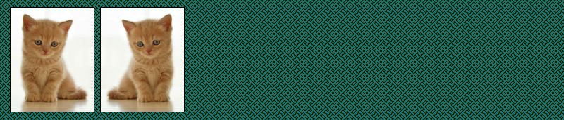 山上有人の冷蔵部屋 イメージ画像