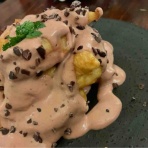 ベンガル猫BenelliとアビシニアンBenjaminと三毛猫Calicoと家族の記録