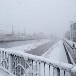 『久々の豪雪@東京 - 降雪後2時間後の状況 -』の画像