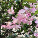 ☆4月12日『〇〇ぼっち』第13弾開催☆