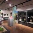長井市古代の丘資料館