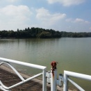 雄蛇ヶ池　❮千葉県東金市の心霊スポット❯