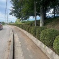 通学路美化活動