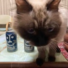 Googleマップを利用する際に気をつけること