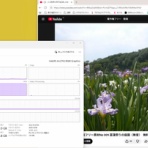 趣味と食べ歩きで毎日が自転車操業！