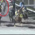 8/1船橋 うみほたる特別(A2B1)ダ1700m【ホワイトヘッド《61戦目》】