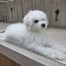 今週の谷山っ子💕