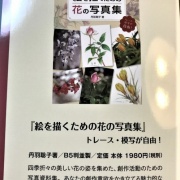 モチーフ難民に朗報 野村重存による絵を描くための風景の写真集 おススメ 水彩的生活kurokawaの透明水彩画