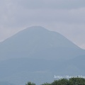 ルドベキア