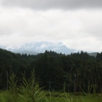 松之山温泉山の森のホテル　ふくずみ