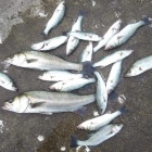 �ض��Ύ�����ݎ������Ȥ���ƥ��������Ȥ��ơ����Ȥ��ǥӡ���🍺�Ǥ�😉🎵�٤β���