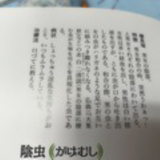 未来の明日へ