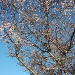 見つけもの ＠ そこかしこ