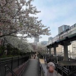 ぽぽちゃんのどりーむずかむとぅるー♪