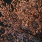 オートガレージオオタのスタッフブログ