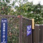 「藍川京」の部屋