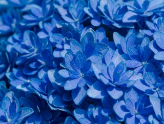 大学卒業後にサークルの仲間が集まる機会があったんだが、ぜったいに来ないだろうと思っていた女が参加してた。周り「えっ、なんで参加できるの？」→理由