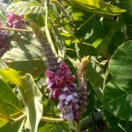 いつも居留守の　在氣呂（imasu_kero）のblog