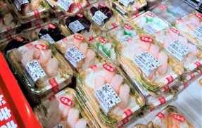 【定期的にやる会員限定500円寿司】函館 はこだて海鮮市場本店