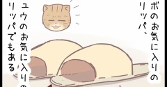 飼い主のお気に入りは・・・のまき