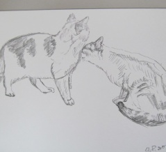 野良猫545カラット　山本京嗣　画