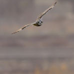 kita-papa のFF日記