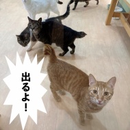 ！！祝★テレビ出演！！